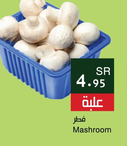  Mushroom  in Hala Markets in KSA, Saudi Arabia, Saudi - Jeddah