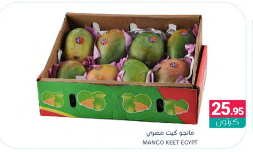  Mangoes  in Muntazah Markets in KSA, Saudi Arabia, Saudi - Dammam