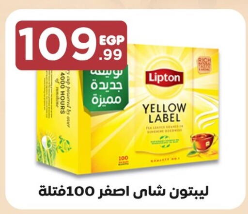 Lipton