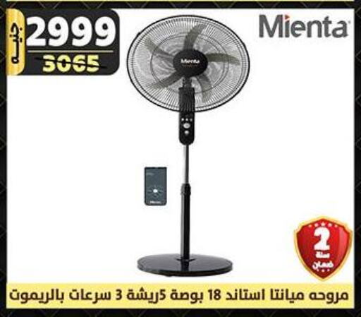  Fan  in Shaheen Center in Egypt - Cairo