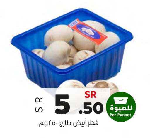  Mushroom  in Al Amer Market in KSA, Saudi Arabia, Saudi - Al Hasa