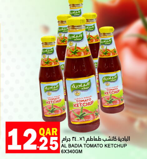  Tomato Ketchup  in Food Palace Hypermarket in Qatar - Doha