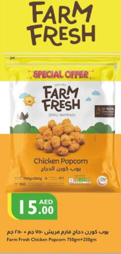 FARM FRESH Chicken Pop Corn  in Istanbul Supermarket in UAE - Sharjah / Ajman