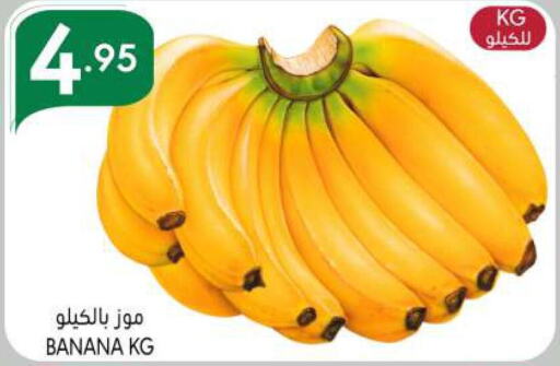  Banana  in Manuel Market in KSA, Saudi Arabia, Saudi - Riyadh