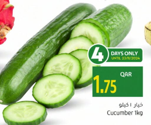  Cucumber  in Gulf Food Center in Qatar - Doha