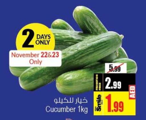  Cucumber  in Ansar Gallery in UAE - Dubai