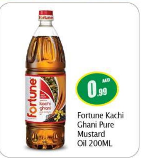 FORTUNE Mustard Oil  in بيج مارت in الإمارات العربية المتحدة , الامارات - أبو ظبي