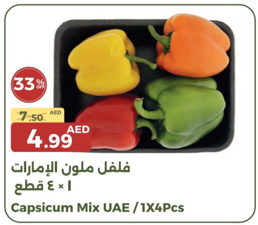  Chilli / Capsicum  in Emirates Co-Operative Society in UAE - Dubai