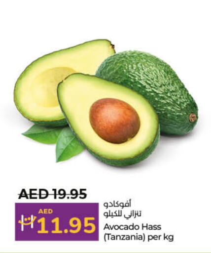  Avacado  in Lulu Hypermarket in UAE - Dubai