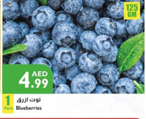  Berries  in Istanbul Supermarket in UAE - Dubai