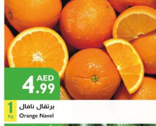  Orange  in Istanbul Supermarket in UAE - Dubai