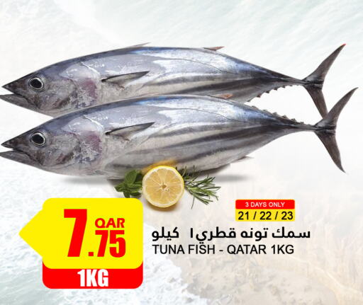  Tuna  in Food Palace Hypermarket in Qatar - Doha