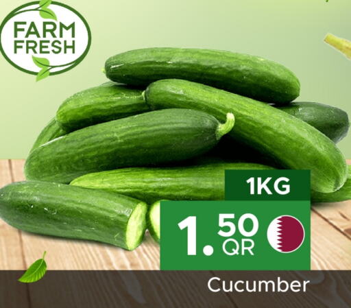  Cucumber  in Family Food Centre in Qatar - Al Wakra