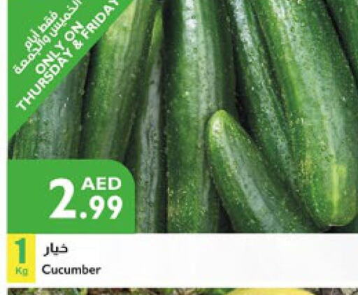 Cucumber