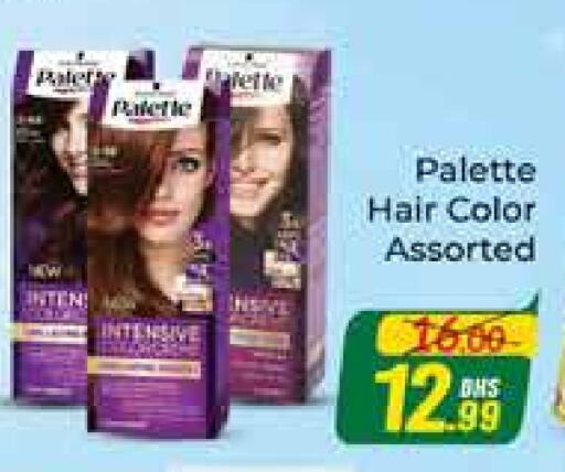 PALETTE Hair Colour  in Azhar Al Madina Hypermarket in UAE - Dubai