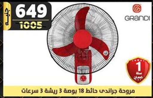  Fan  in Shaheen Center in Egypt - Cairo