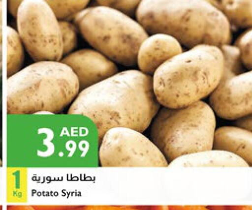  Potato  in Istanbul Supermarket in UAE - Dubai