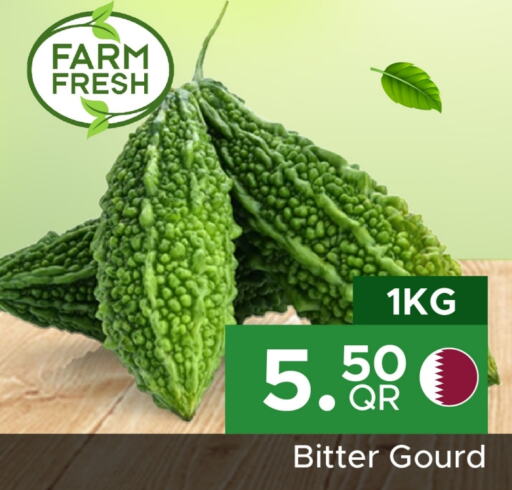  Gourd  in Family Food Centre in Qatar - Al Wakra