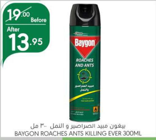 BAYGON   in Manuel Market in KSA, Saudi Arabia, Saudi - Riyadh