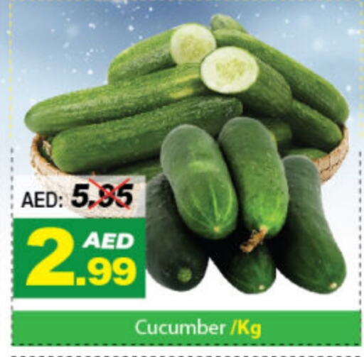  Cucumber  in DESERT FRESH MARKET  in UAE - Abu Dhabi