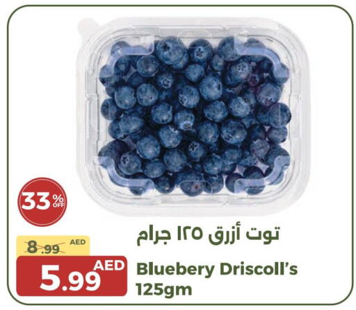  Berries  in Emirates Co-Operative Society in UAE - Dubai