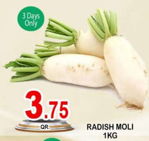  Radish  in Dubai Shopping Center in Qatar - Al Wakra