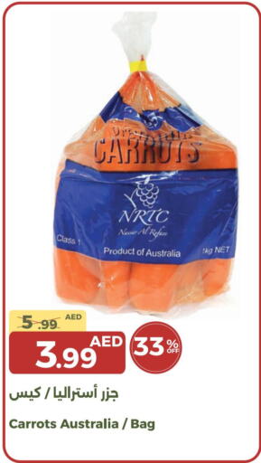  Carrot  in Emirates Co-Operative Society in UAE - Dubai