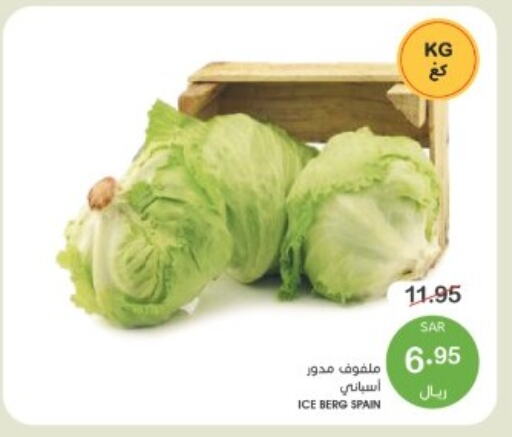 Cabbage