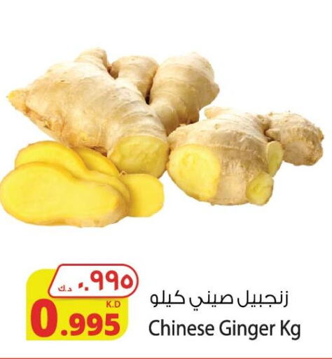 Ginger