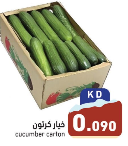 Cucumber