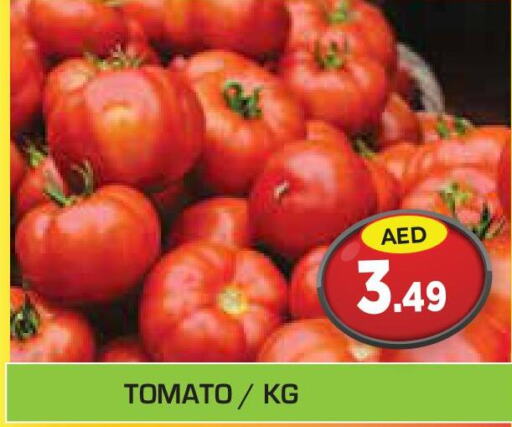  Tomato  in Baniyas Spike  in UAE - Sharjah / Ajman