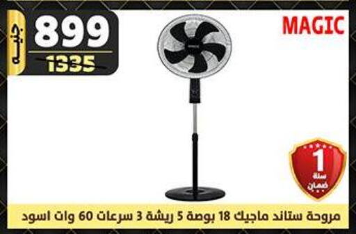  Fan  in Shaheen Center in Egypt - Cairo