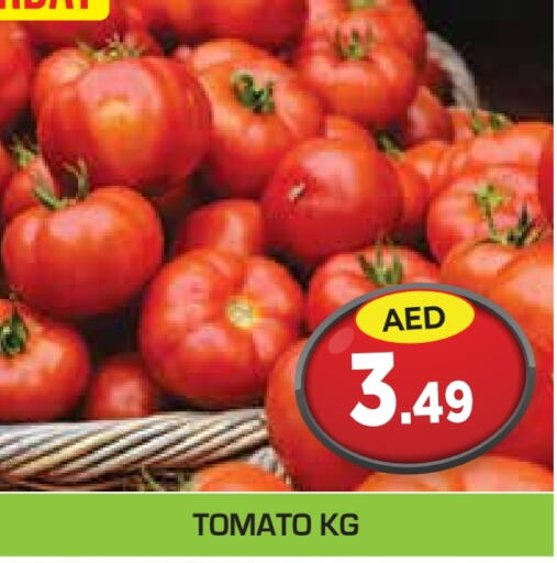  Tomato  in Baniyas Spike  in UAE - Abu Dhabi