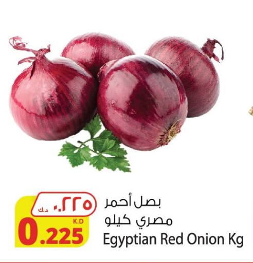 Onion