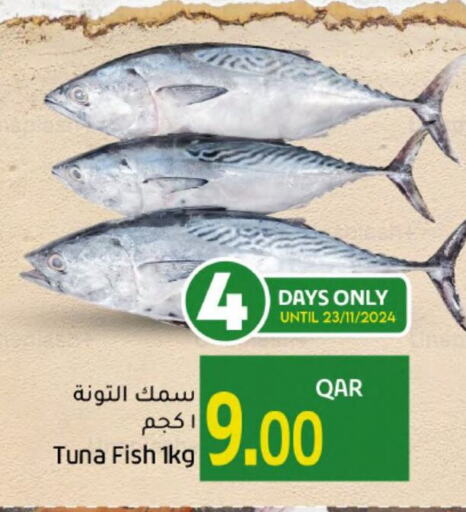  Tuna  in Gulf Food Center in Qatar - Doha