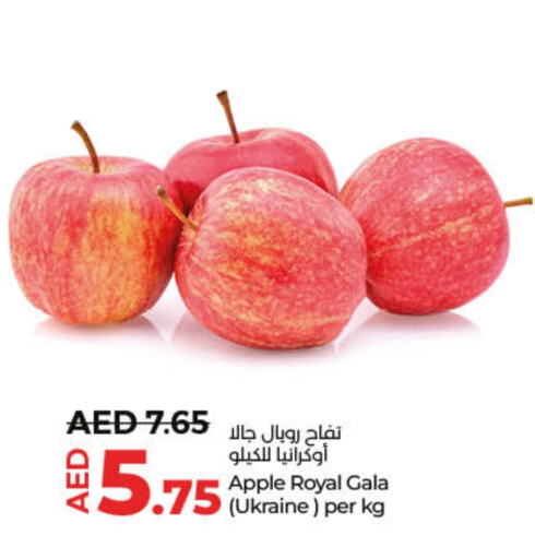  Apples  in Lulu Hypermarket in UAE - Dubai