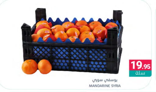  Orange  in Muntazah Markets in KSA, Saudi Arabia, Saudi - Dammam