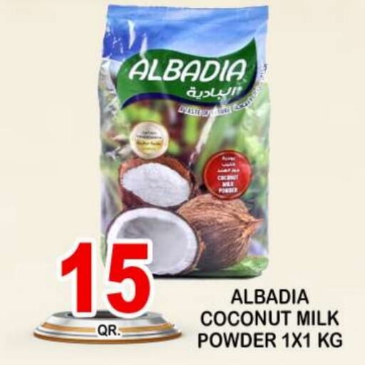  Coconut Powder  in Dubai Shopping Center in Qatar - Al Wakra