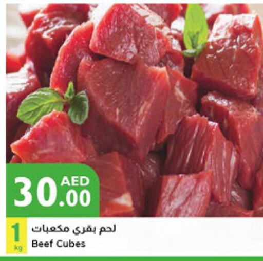  Beef  in Istanbul Supermarket in UAE - Dubai