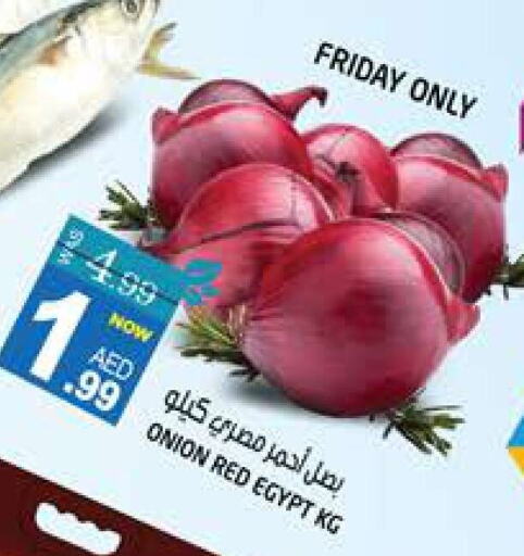  Onion  in هاشم هايبرماركت in الإمارات العربية المتحدة , الامارات - الشارقة / عجمان