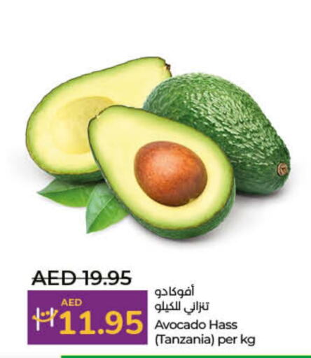  Avacado  in Lulu Hypermarket in UAE - Dubai