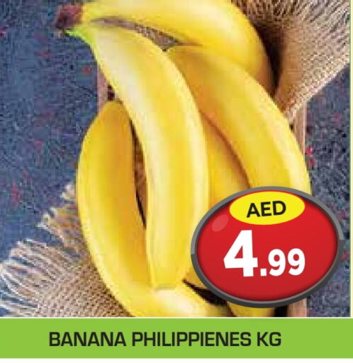  Banana  in Baniyas Spike  in UAE - Abu Dhabi