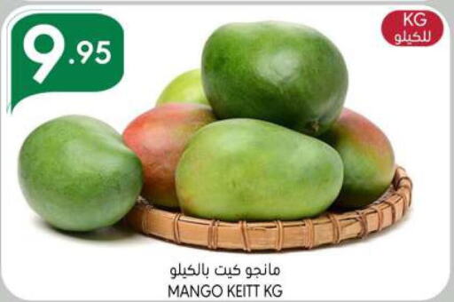  Mangoes  in Manuel Market in KSA, Saudi Arabia, Saudi - Riyadh