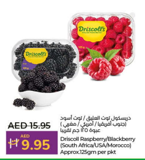  Berries  in Lulu Hypermarket in UAE - Dubai