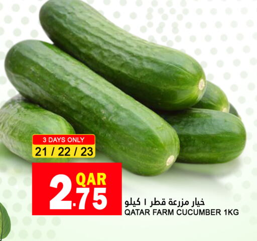  Cucumber  in Food Palace Hypermarket in Qatar - Al Wakra