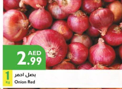  Onion  in Istanbul Supermarket in UAE - Dubai