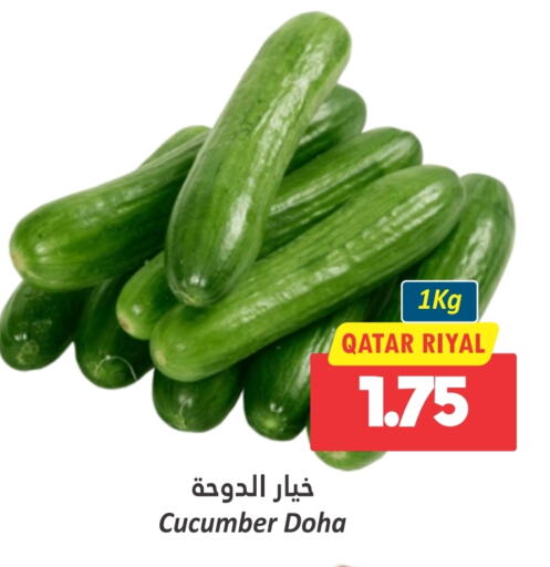 Cucumber