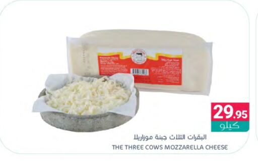  Mozzarella  in Muntazah Markets in KSA, Saudi Arabia, Saudi - Dammam