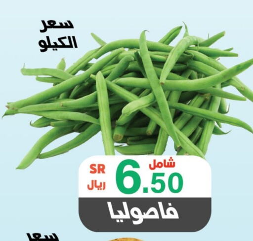  Beans  in Al Rasheed Markets in KSA, Saudi Arabia, Saudi - Riyadh