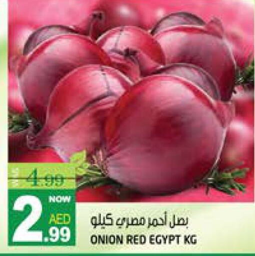 Onion